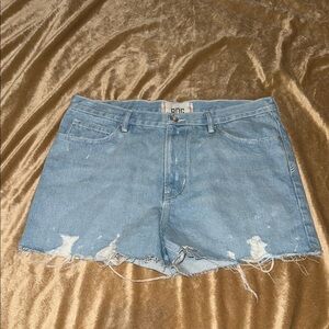 Urban Outfitters BDG Shorts